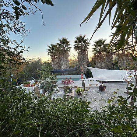 Loft Independiente "La Casita Del Olivo Centenario" قرطبة المظهر الخارجي الصورة