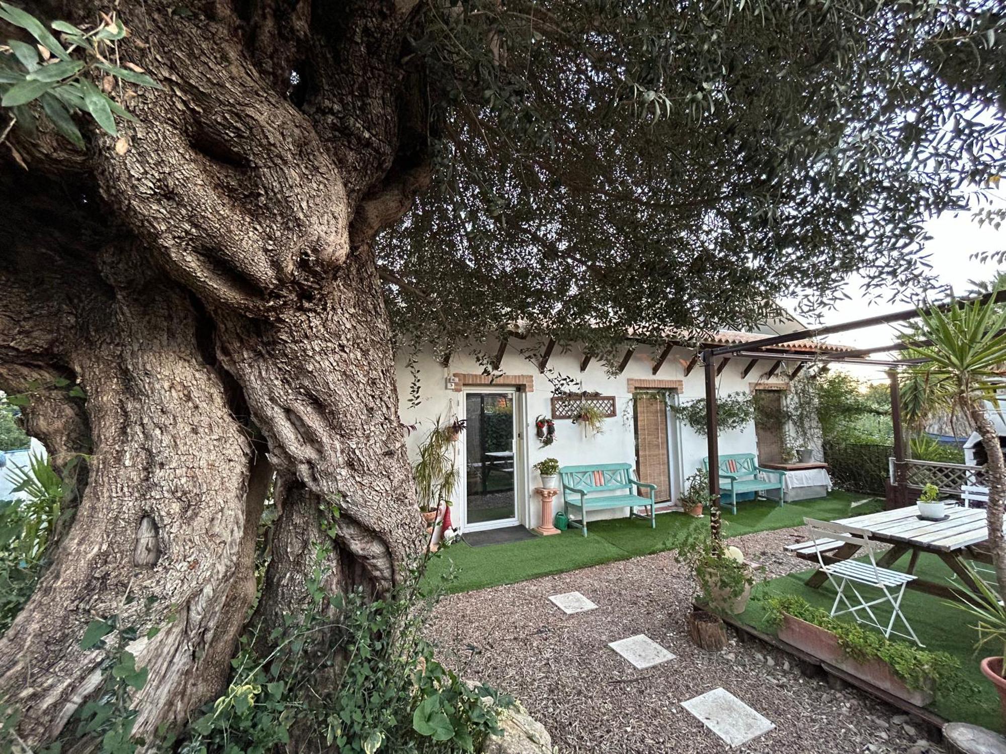 Loft Independiente "La Casita Del Olivo Centenario" قرطبة المظهر الخارجي الصورة