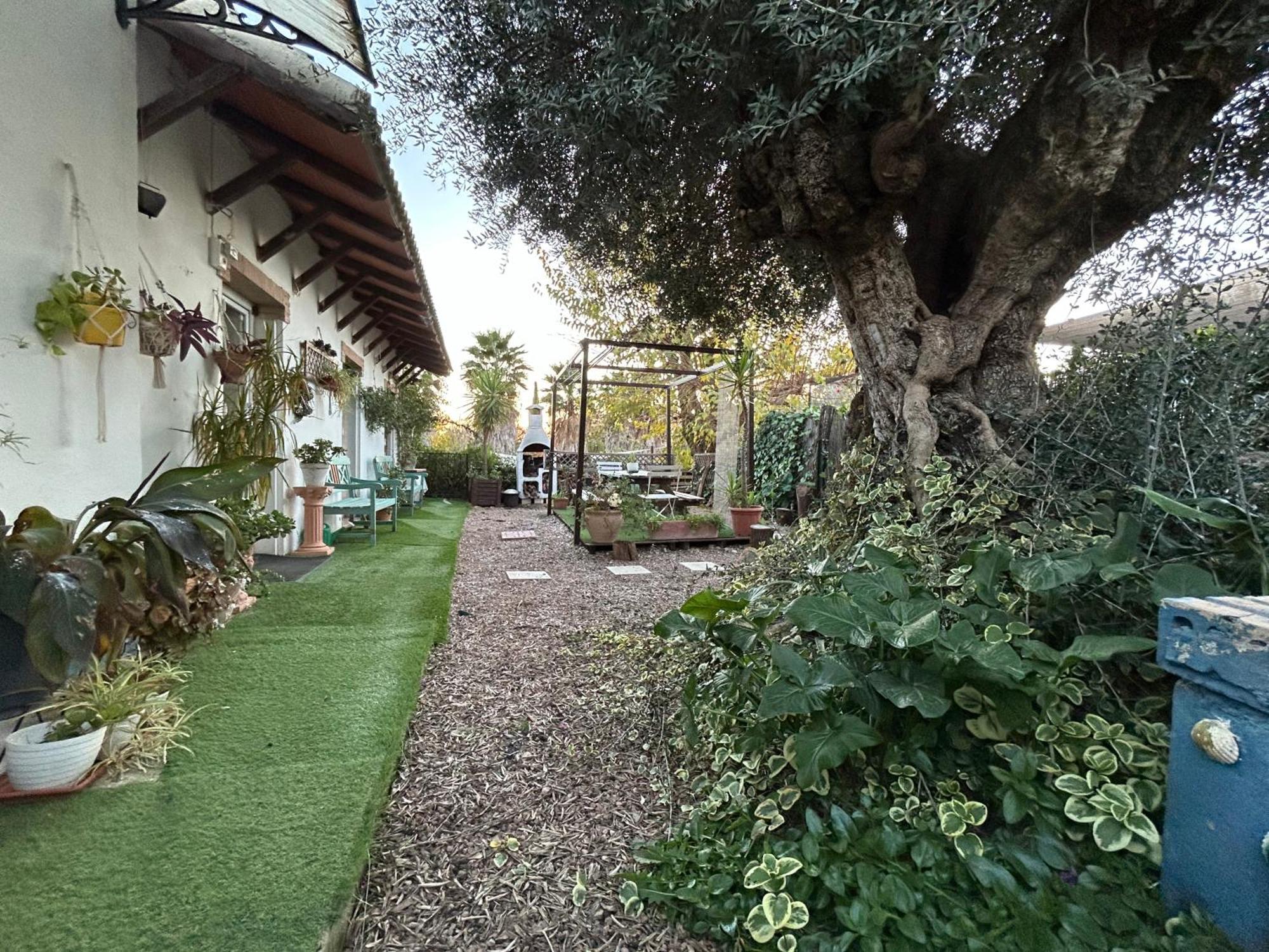 Loft Independiente "La Casita Del Olivo Centenario" قرطبة المظهر الخارجي الصورة